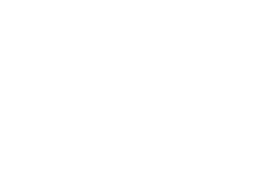 bravo group logo
